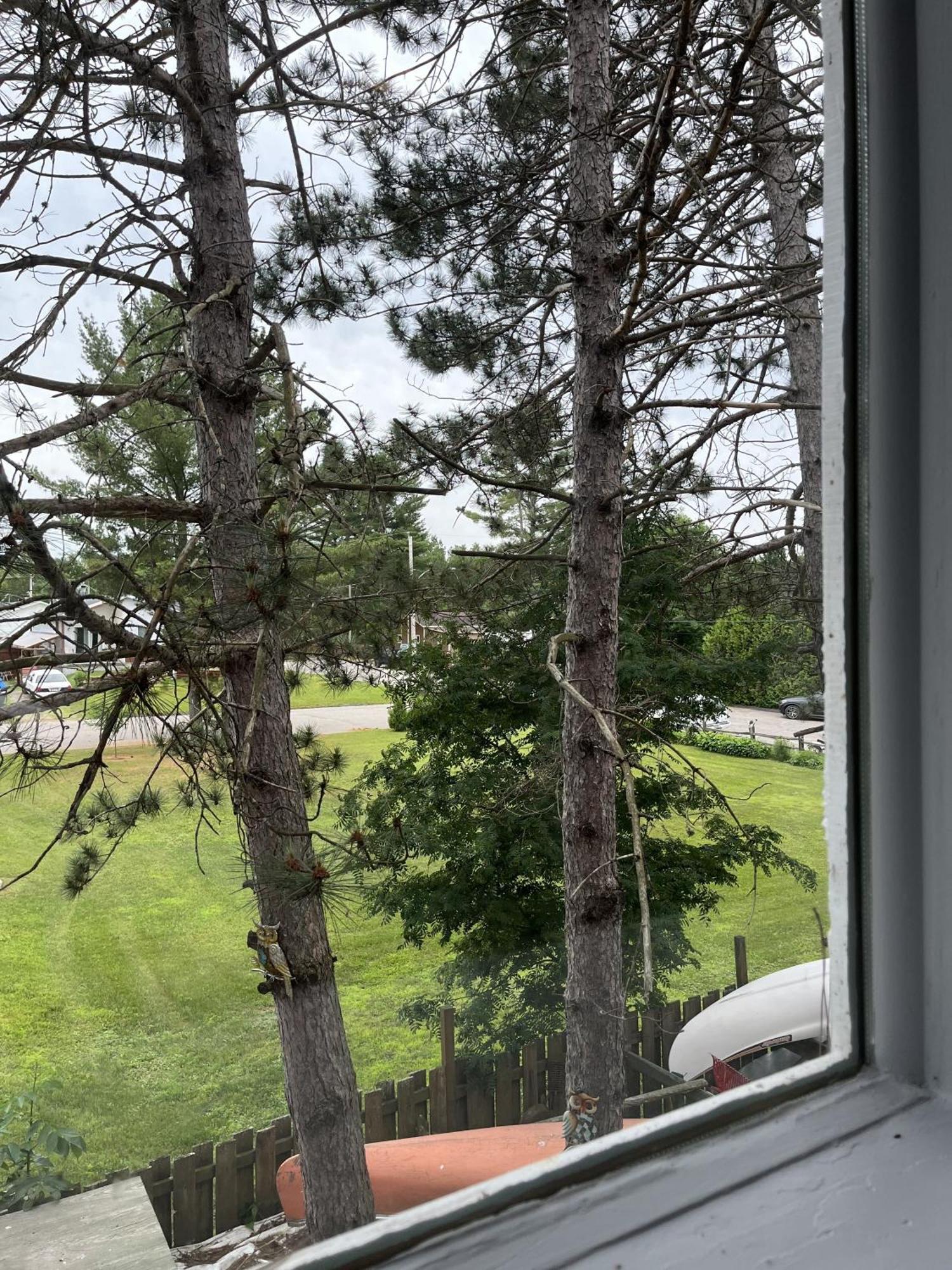 Auberge De Ferme-Neuve Lac-Saint-Paul Екстер'єр фото